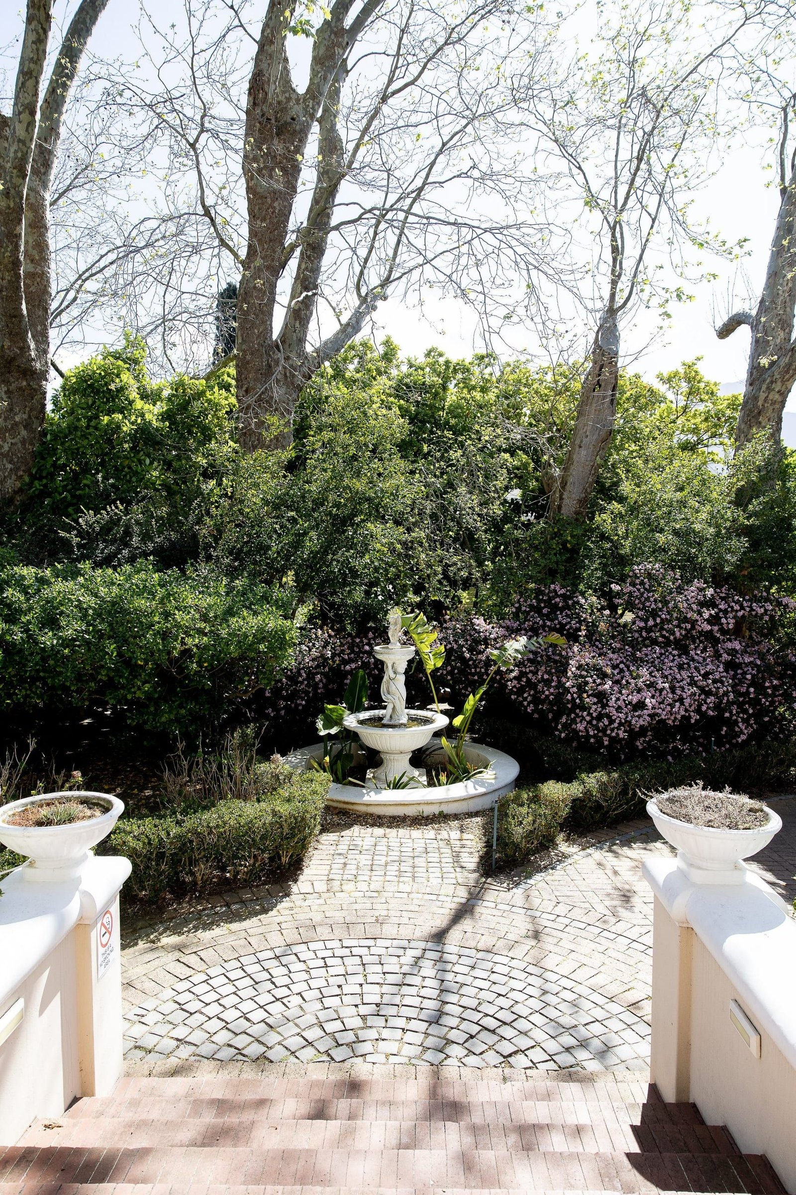Brick steps down to a small white fountain in the garden, among hedges and flowering shrubs under tall trees.